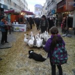 ferme en ville