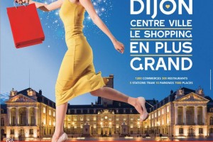 Shopping dijon