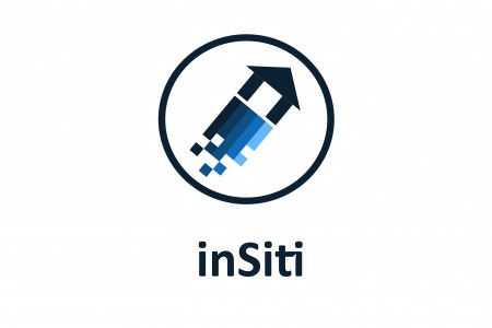 LOGO INSITI HD_modifié-4