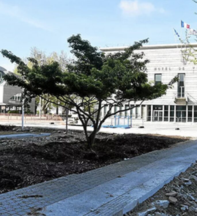 Capture d’écran 2026-01-14 à 12.41.52